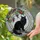 duiyfppz/products/6a2be41cf700257c12653d14/gallery/h90mF3W5wv