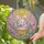 White Bunny Easter Basket Easter Eggs Sun Flowers - Spring Holiday Decor Gift Stained Glass Suncatcher - 2