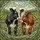 Two Calves Nuzzling Wildflower Field - Farmhouse Home Decor Gift for Cow Lover Stained Glass Suncatcher - 5
