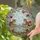 Tabby Kittens Pond Rose Garden - Home Decor Gift for Cat Lover Stained Glass Suncatcher - 2