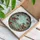 Tabby Kittens Pond Rose Garden - Home Decor Gift for Cat Lover Stained Glass Suncatcher - 3