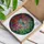 Dragonfly Roses Thorny Branches Swirling Foliage - Home Decor Gift for Gardeners Stained Glass Suncatcher - 3