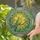 Budgerigar Stained Glass Sunburst Scrollwork - Home Decor Gift for Bird Lovers Stained Glass Suncatcher - 2