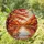 Autumn Pond Landscape Teatime Patio with Fall Foliage - Fall Home Decor Gift Stained Glass Suncatcher - 1
