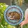 Brown Golden Striped Tabby Cat Radiating Lead Lines - Home Decor Gift for Cat Lover Stained Glass Suncatcher - 2