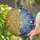 Golden Sun Silver Moon Split Face Celestial Stars Planets Cosmic Swirls - Home Decor Gift Stained Glass Suncatcher - 2