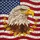 Bald Eagle American Flag Stars - Independence Day Gift for Veterans Stained Glass Suncatcher - 5