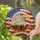 Bald Eagle American Flag Stars - Independence Day Gift for Veterans Stained Glass Suncatcher - 2
