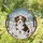 Puppy Snowdrifts Winter Landscape - Home Decor Gift for Puppy Lover Stained Glass Suncatcher - 1