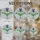 Scottish Thistle Flower Bloom - Home Decor Gift for Plant Lover Stained Glass Suncatcher - 4