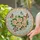 Blooming Peach Orange Roses Butterflies - Garden Lover Home Decor Gift Stained Glass Suncatcher - 2