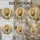 Lioness Lion Laurel Wreath Sun - Home Decor Gift for Wildlife Lover Stained Glass Suncatcher - 4