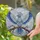 Ornate Bejeweled Crystalline Bird Celestial Swirls - Home Decor Gift for Bird Lovers Stained Glass Suncatcher - 2