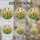 Blooming Sunflower Butterfly Garden - Home Decor Gift for Garden Lover Stained Glass Suncatcher - 4