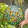 Hummingbirds Perched Floral Mosaic - Home Decor Gift for Bird Lovers Stained Glass Suncatcher - 2