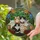 Seven Cats Blooming Roses Geometric Mosaic - Home Decor Gift for Cat Lover Stained Glass Suncatcher - 2