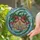 Antique Gold Christmas Bells Holly Red Bow Gems - Christmas Gift Stained Glass Suncatcher - 2