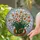 duiyfppz/products/6a2c2aa237f5cd7715dc57af/gallery/4WsRO2DSC-