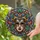 duiyfppz/products/6a2c2cf7b41f5d21fdea63bd/gallery/UMF1y833h_