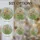 duiyfppz/products/6a2c2d8737f5cd391bdc5e76/gallery/6WFF6QpUx7