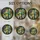 duiyfppz/products/6a2c2f2d0d4a369da2b2bc0f/gallery/ps6HGmIOOu