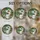 duiyfppz/products/6a2c33e5b41f5df212ea7876/gallery/jPpRlN0eZ8