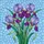 duiyfppz/products/6a2c349c41197016de71d317/gallery/HzaO8xxRLv