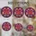 duiyfppz/products/6a2c3798b41f5d1d32ea7f63/gallery/CbPCWEAMQr