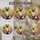 duiyfppz/products/6a2c37d537f5cd2411dc7a1f/gallery/Di8s6v4Y0k
