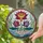 Luminous Three Lotus Flowers Water Pebbles Gold Red Border - Home Decor Gift Stained Glass Suncatcher - 2