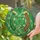 Lucky Horseshoe Four-Leaf Clover Leopard Print Mosaic - Good Luck Home Decor Gift Stained Glass Suncatcher - 2