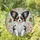 Papillon Puppy Stained Glass Flowers Butterflies - Dog Lover Home Decor Gift Stained Glass Suncatcher - 1