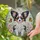 Papillon Puppy Stained Glass Flowers Butterflies - Dog Lover Home Decor Gift Stained Glass Suncatcher - 2