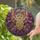Ornate Owl Stained Glass Mosaic - Luminous Home Decor Gift for Wildlife Lover Stained Glass Suncatcher - 2