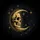 Gold Crescent Moon Skull Stars - Cosmic Night Decor Gift for Mystery Lover Spare Tire Cover - 6