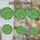 duiyfppz/products/6a2ccc2afb175069e30c07a5/gallery/6lZ9dN3Stx