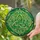 duiyfppz/products/6a2ccc2afb175069e30c07a5/gallery/tg9IFjOx6x