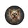 Happy Yorkshire Terrier Dog - Dog Lover Gift for Yorkie Owners Spare Tire Cover - 4