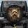 Happy Yorkshire Terrier Dog - Dog Lover Gift for Yorkie Owners Spare Tire Cover - 1