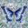 duiyfppz/products/6a2ccd29036a7cf0f31b0d40/gallery/b0FWxLLRhN