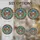 duiyfppz/products/6a2ccec215cc283d169cdd2f/gallery/gPWNkZhFQ8