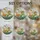 duiyfppz/products/6a2ccf1b15cc2806799cdf22/gallery/R22mt1ymgU