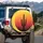 Saguaro Cactus Desert Sunset Landscape - Outdoor Adventure Gift for Desert Exploration Spare Tire Cover - 3