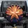 Large Copper Star Gold Red Sun Rays Emblem - Home Decor Gift Spare Tire Cover - 1