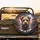 Cairn Terrier Dog Lightning Storm - I AM THE STORM - Dog Lover Gift Spare Tire Cover - 2