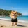 Fluffy Pomeranian Dog Beach Ocean Coastline - Dog Lover Travel Gift Spare Tire Cover - 6
