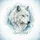 White Wolf Spirit Icy Forest - Wildlife Lover Gift for Wolf Enthusiasts Spare Tire Cover - 6