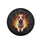 Brown White Rat Terrier Paws Extended Textured Burst Ripped - Dog Lover Gift Spare Tire Cover - 4