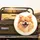 Fluffy Pomeranian Dog Winking Smile - Pet Owner Gift Spare Tire Cover - 2