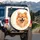 Fluffy Pomeranian Dog Winking Smile - Pet Owner Gift Spare Tire Cover - 3